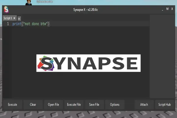 Synapse X App for PC 